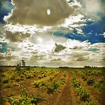 Real Del Buen Camino, Rural 4* Villanueva de Campean