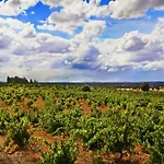 Real Del Buen Camino, Rural Penzion 4*