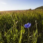 Penzion Real Del Buen Camino, Rural 4*
