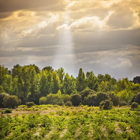 Inn Real Del Buen Camino, Rural 4*