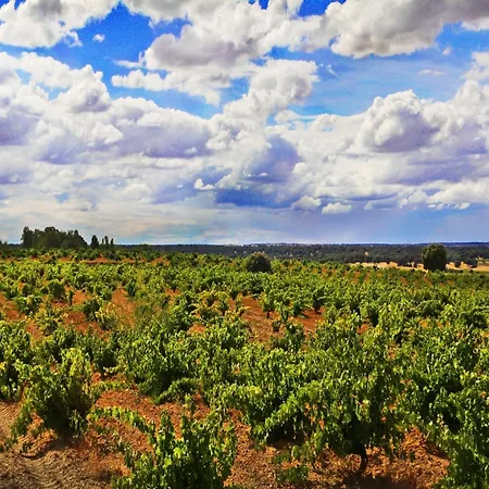 Real Del Buen Camino, Rural بيت ريفي 4*