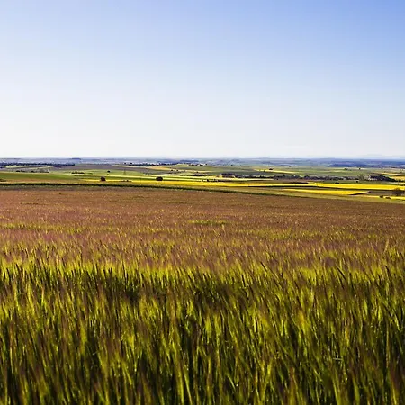 Han/Misafirhane Real Del Buen Camino, Rural