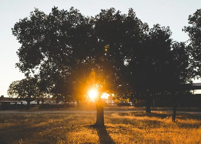 Real Del Buen Camino, Rural 4* Villanueva de Campeán