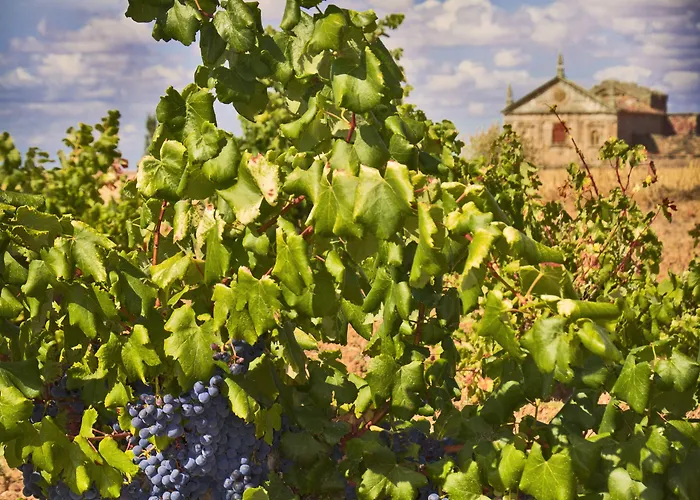 Real Del Buen Camino, Rural 여관