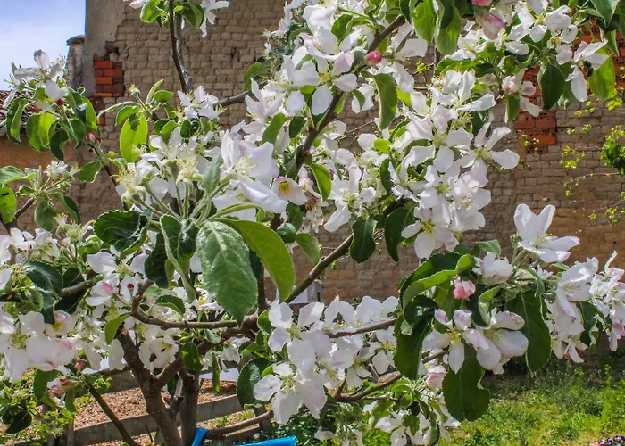 Real Del Buen Camino, Rural 4*