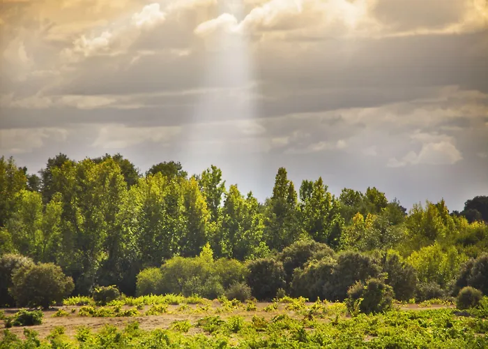 イン Real Del Buen Camino, Rural 4*