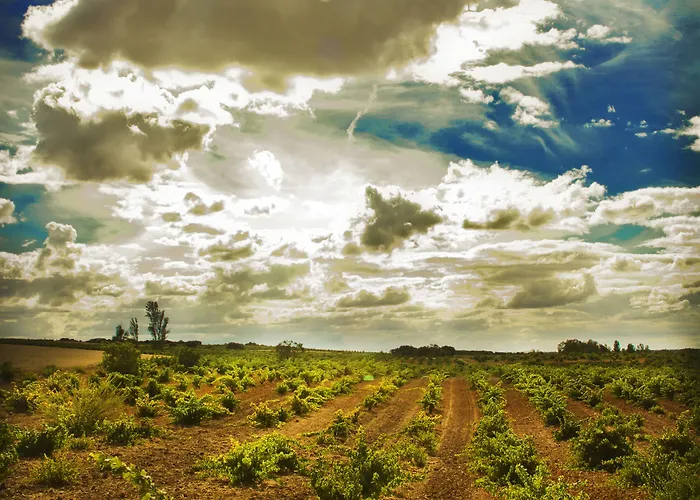 Real Del Buen Camino, Rural 4* Villanueva de Campeán