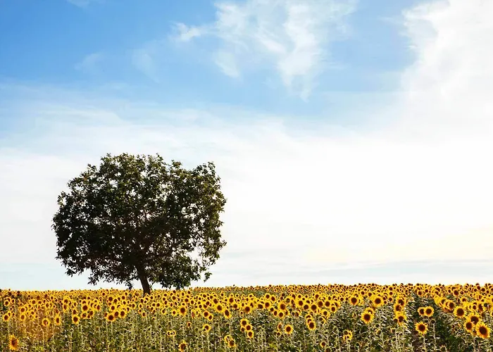 여관 Real Del Buen Camino, Rural Villanueva de Campean
