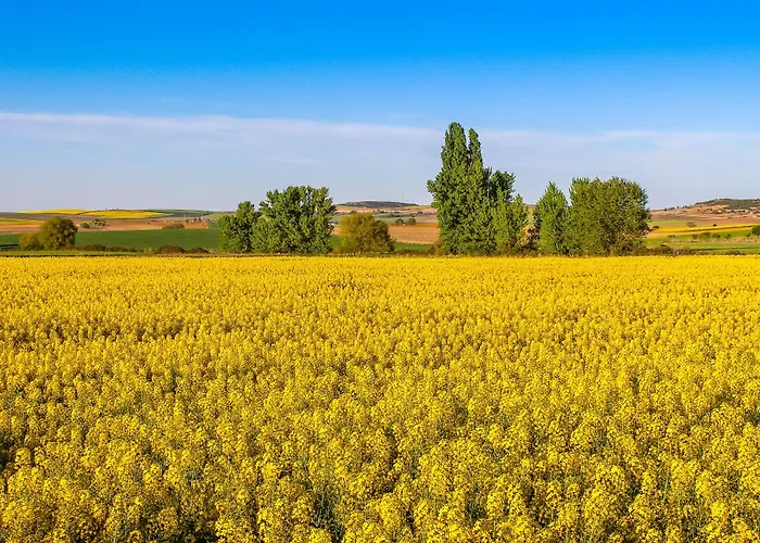 イン Real Del Buen Camino, Rural Villanueva de Campeán