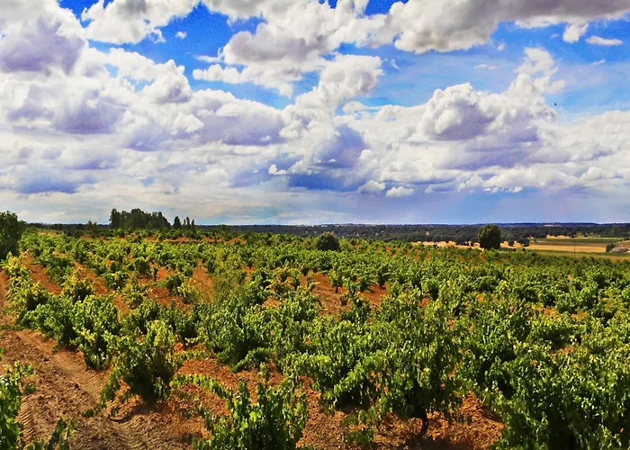 Real Del Buen Camino, Rural イン 4*