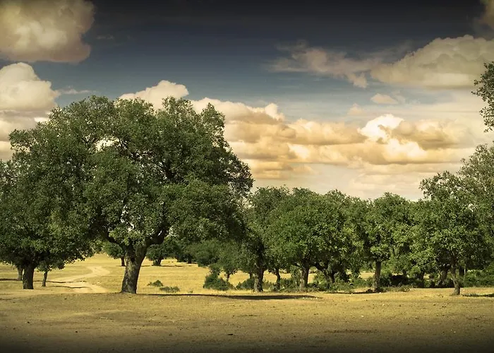 Real Del Buen Camino, Rural 4* Villanueva de Campeán