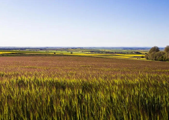 여관 Real Del Buen Camino, Rural