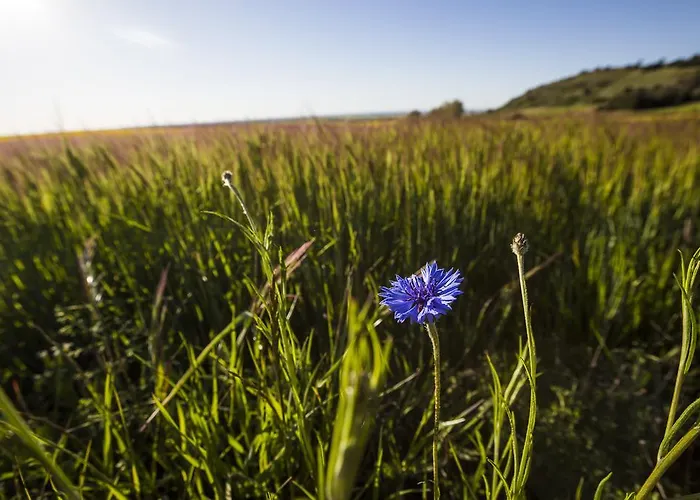 여관 Real Del Buen Camino, Rural 4*
